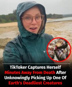 TikToker Films Herself Moments Before Near-Death Experience After Picking Up One Of The World’s Most Dangerous Creatures