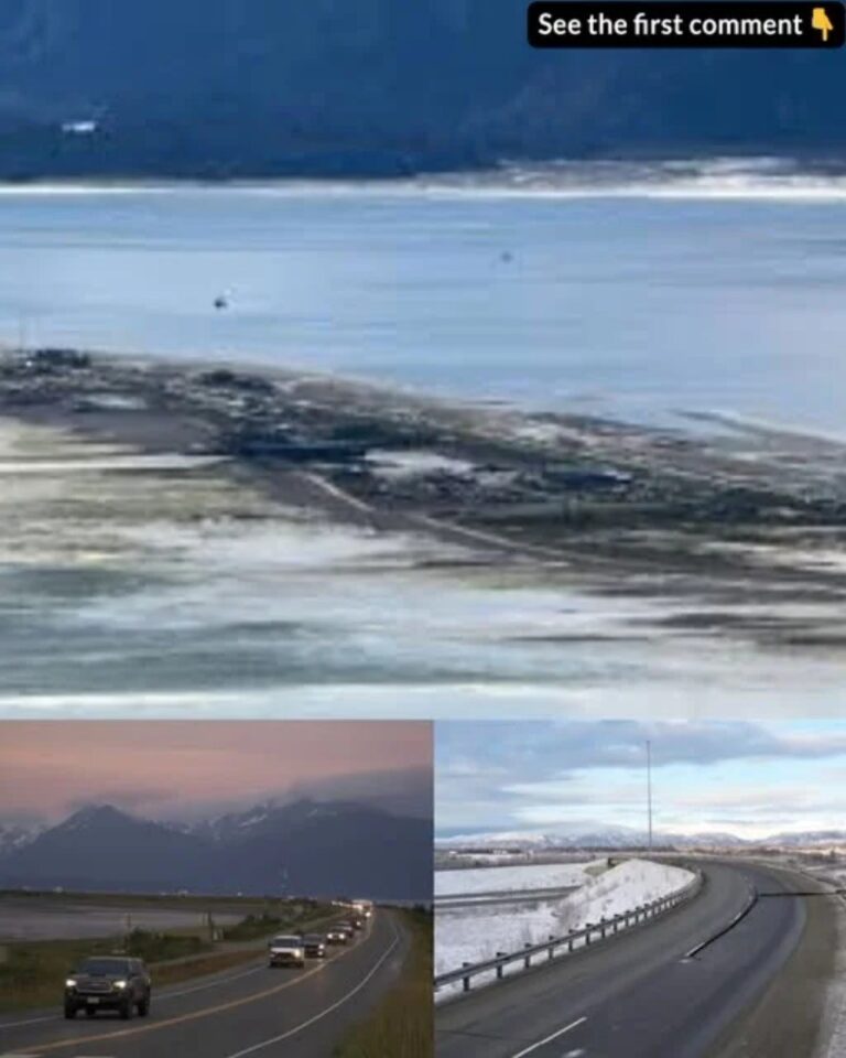 Tsunami Warning Issued After 7.3 Earthquake — Americans Evacuate Coastal Areas