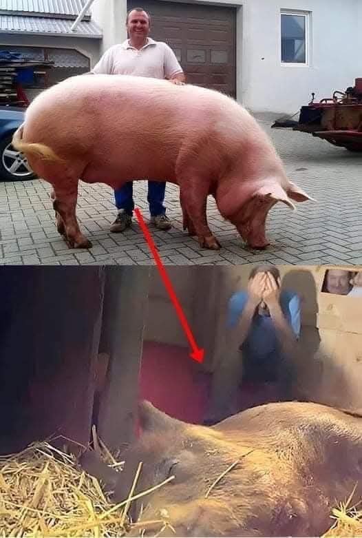 The Unexpected