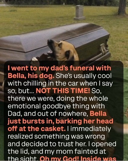 Dog Barks at Father’s Funeral—Son Opens Casket and Uncovers Shocking Truth