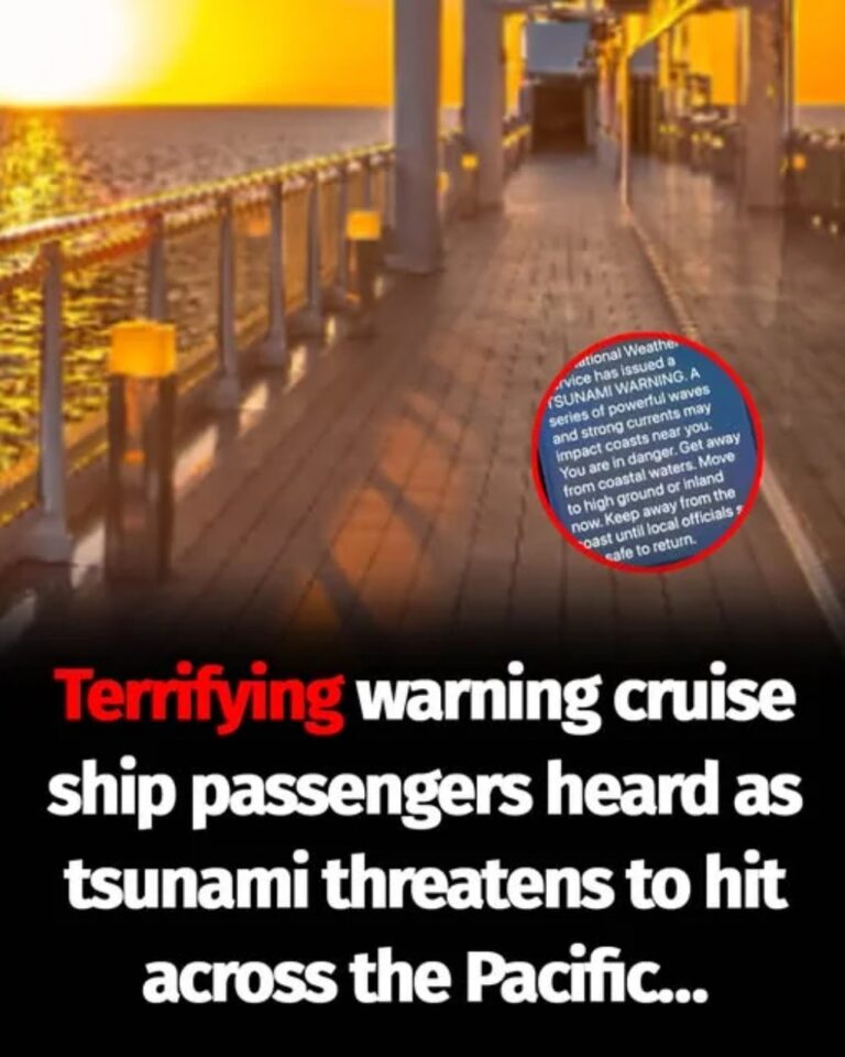 Cruise ship passenger shares warning people received over Hawaii tsunami alert