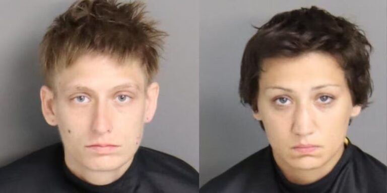 Two Women Face Charges After Dog Ha…