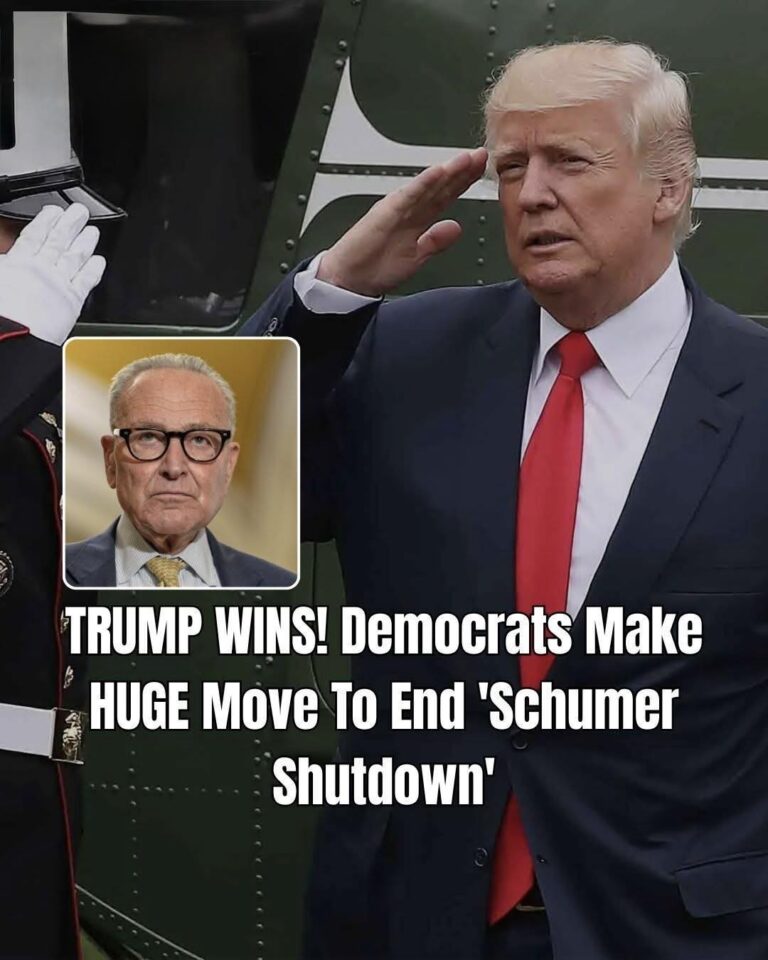 Growing Tensions Inside Democratic Party as Schumer Shutdown Crisis Deepens