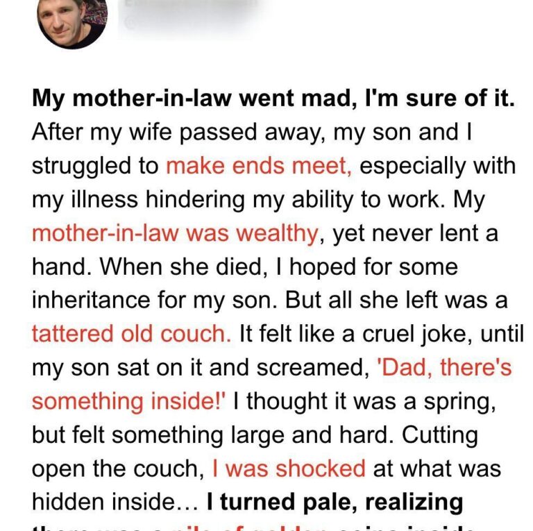 A Boy Finds an Unexpected Gift Hidden in His Grandmother’s Old Sofa