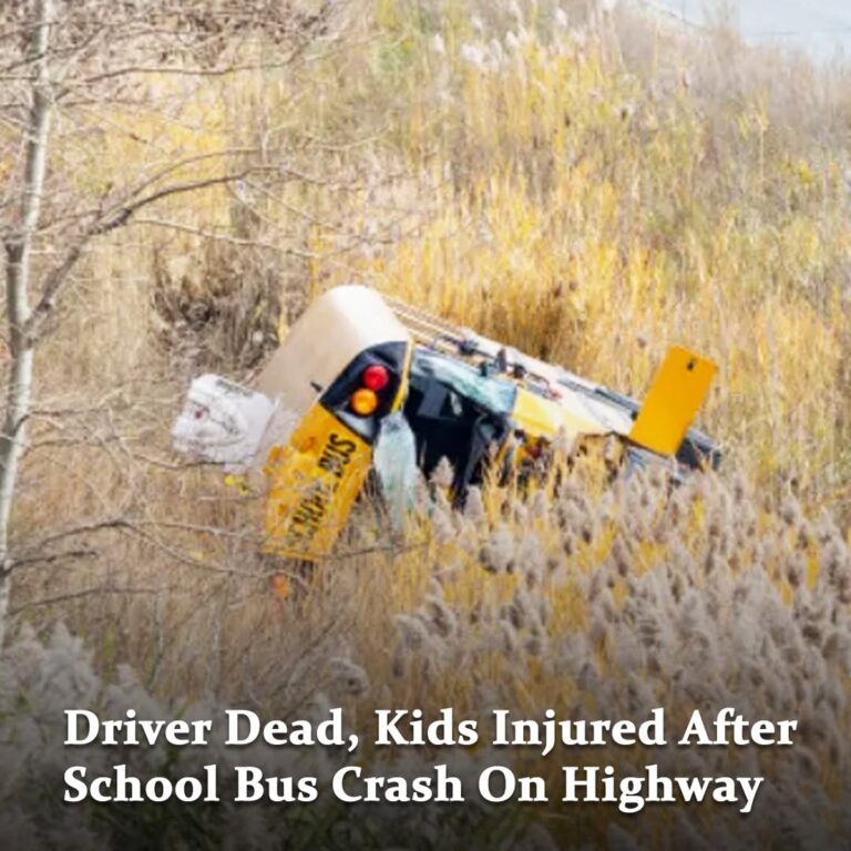 Driver dead, kids injured after school bus crash on Highway 401 near London, Ont.